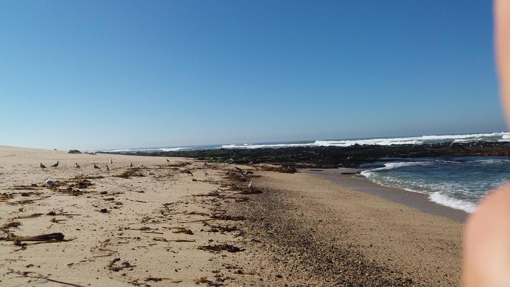 Blue Ocean Villa Póvoa de Varzim Kültér fotó